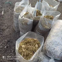 ذرت برا فروش