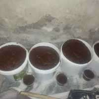 سمنو|خوردنی و آشامیدنی|مشهد, سپاد|دیوار