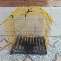 قفس،