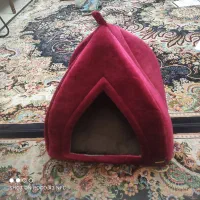 لونه سگ و گربه