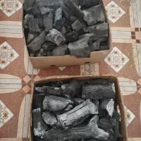 ذغال کودی پاک اباد