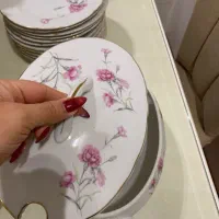 ظروف چینی گل میخکی|ظروف سرو و پذیرایی|مشهد, هنرستان|دیوار