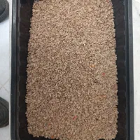 بذرگوجه|خدمات باغبانی و درختکاری|اصفهان, ارداجی|دیوار