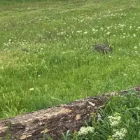 زمین به متراژ ۶۵۰ متر