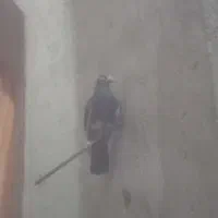 کبوتر میناسیاه