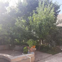 مشارکت در ساخت|مشارکت در ساخت املاک|تبریز, |دیوار