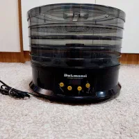 میوه خشک کن دلمونتی سفارش اروپا