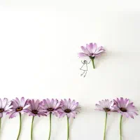 آموزشی تدریس خصوصی، ابتدایی