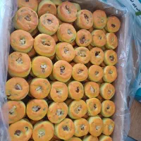 پخش و توزیع از تولید به مصرف انواع سوغات کرمانشاه|خدمات پذیرایی، مراسم|کرمانشاه, |دیوار