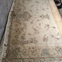 فرش|فرش|تهران, آرژانتین|دیوار
