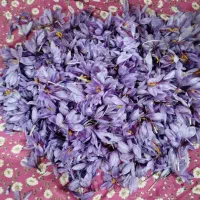 زعفران تایباد|خوردنی و آشامیدنی|تهران, آرژانتین|دیوار