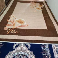 گلیم فرش|گلیم، جاجیم، گبه|سنندج, |دیوار