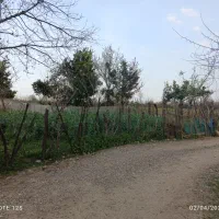 زمین مسکونی