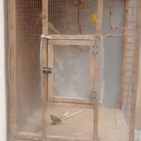 قفس چوبی ۱/۱۵ در۹۰
