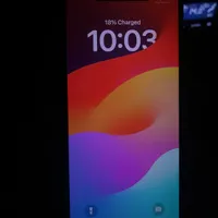 Xs max 256