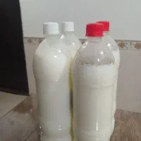 دوغ سنتی ترنج (گرمادیده)