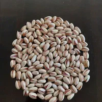 فروش عمده پسته|خوردنی و آشامیدنی|رشت, نظری|دیوار