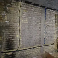 برق کشی ساختمان. لوله کشی آب ، حرص و برش درخت|خدمات پیشه و مهارت|شیراز, ستارخان|دیوار