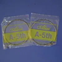 سیم پنجم گیتار الکتریک