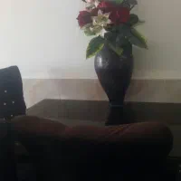 میز ناهار خوری بسیار تمیز|میز و صندلی غذاخوری|تربتحیدریه, سیلوی گندم|دیوار