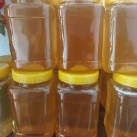عسل ناب فریدونشهر