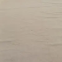 پالاز موکت درجه یک|موکت|اهواز, اسماعیلیه|دیوار