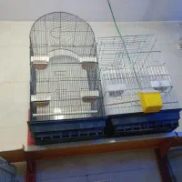 تفس