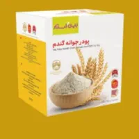 جوانه گندم