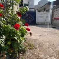 اجاره سویت تک خوابه|اجارهٔ کوتاه‌مدت آپارتمان و سوئیت|رشت, هلال احمر|دیوار