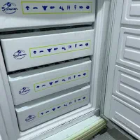 یخچال فریزر|یخچال و فریزر|آمل, |دیوار