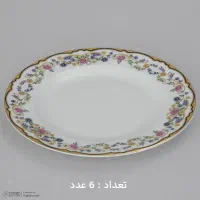 سرویس ۲۸ پارچه چینی زرین ایران|ظروف سرو و پذیرایی|کاشان, امام خمینی|دیوار