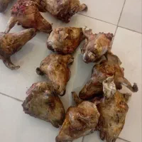 فروش کله پاچه عمده