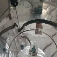 سبزی خورد کن فقط در حد تست روشن شده