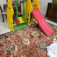 تاب و سرسره سنجاب تایوانی