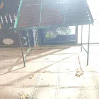 قفسه میوه فروشی|فروشگاه و مغازه|تالش, هشتپر|دیوار