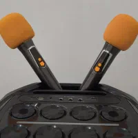 اسپیکر غول brudo پارتی باکس