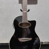 گیتار کاتوی پیکاپدار EKO