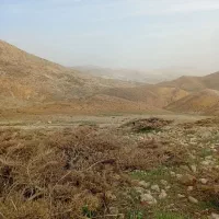 فروش زمین