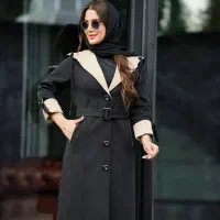 چرخکار خانم حرفه ای، وسط کار، اتوکار نیازمندیم