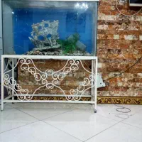 اکواریوم ماهی با تمام لوازم|ماهی|کهریزک, |دیوار