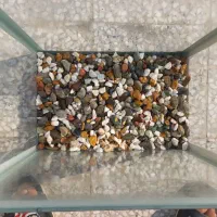 اکواری م نو|ماهی|باقرشهر, |دیوار