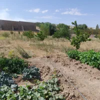 باغ جاده ورزقان