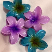 تعدادی کش و گیره به فروش میرسد به قیمت عمده