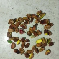 پوک|خوردنی و آشامیدنی|فردوس (کرمان), |دیوار