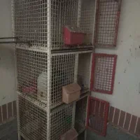 جفت گاه قفس