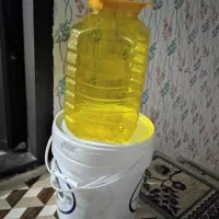 دبه جای خیارشور وسطل جاپنیر|ظروف نگهدارنده، پلاستیکی، یک‌بارمصرف|سرپل ذهاب, |دیوار
