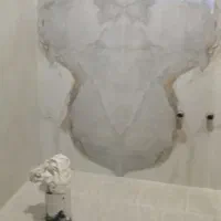 نصب کاشی و سرامیک و رفع نم سرویس ها و بند کشی|خدمات پیشه و مهارت|محمدشهر, همایون ویلا|دیوار