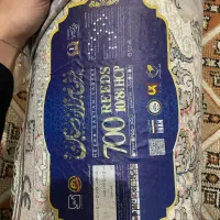 دو عدد فرش 6 متری|فرش|پیربازار, |دیوار