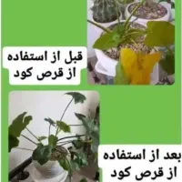 قرص کود ارگانیک رشد سریع گیاه پک کامل ۱۲۰ عددی|گل و گیاه طبیعی|اردبیل, |دیوار