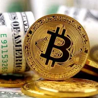 آموزش ارز دیجیتال بدون هزینه اولیه